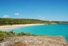 Vieques